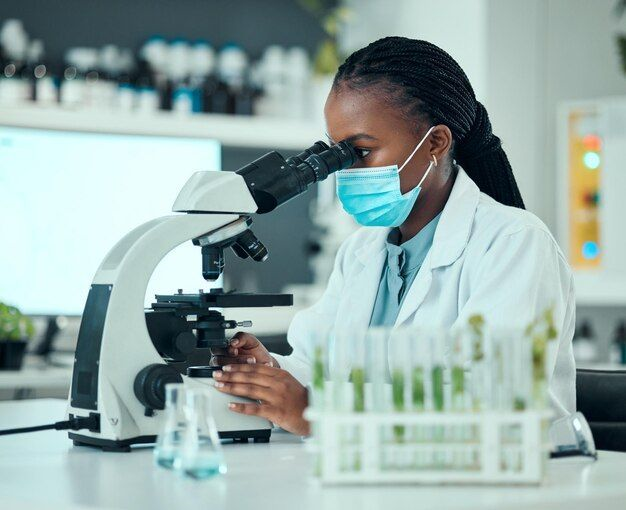 Laboratoire
